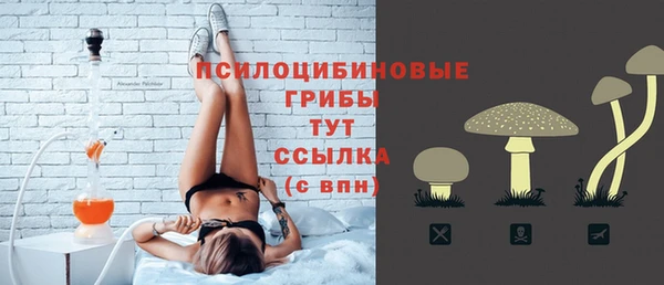 прущие крисы Верея