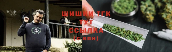 индика Вязники