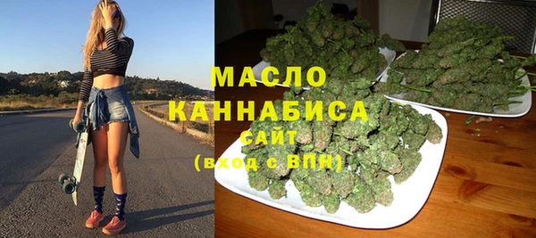 индика Вязники