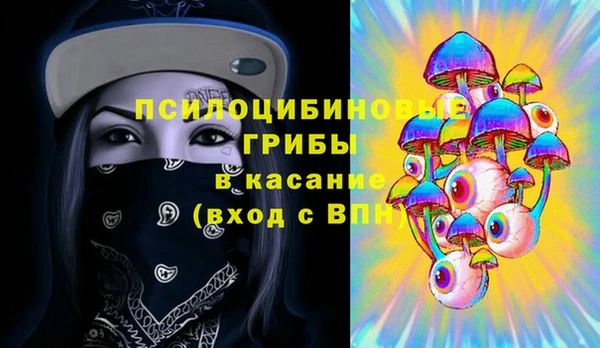 mix Вяземский