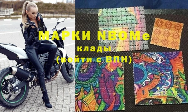 индика Вязники